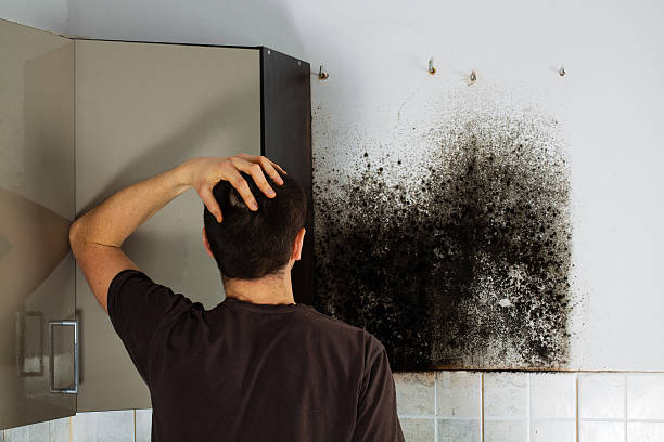 Professional Mold Removal in Kinston, NC